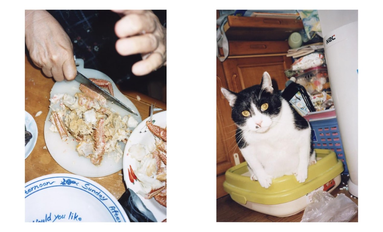 Motoyuki Daifu : My family is a pubis so I cover them in pretty panties