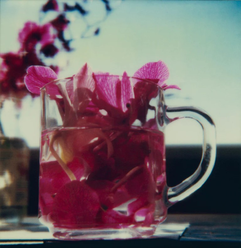 Robby Müller : L.A. Polaroids