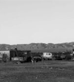 John Divola : Dogs Chasing My Car in the Desert