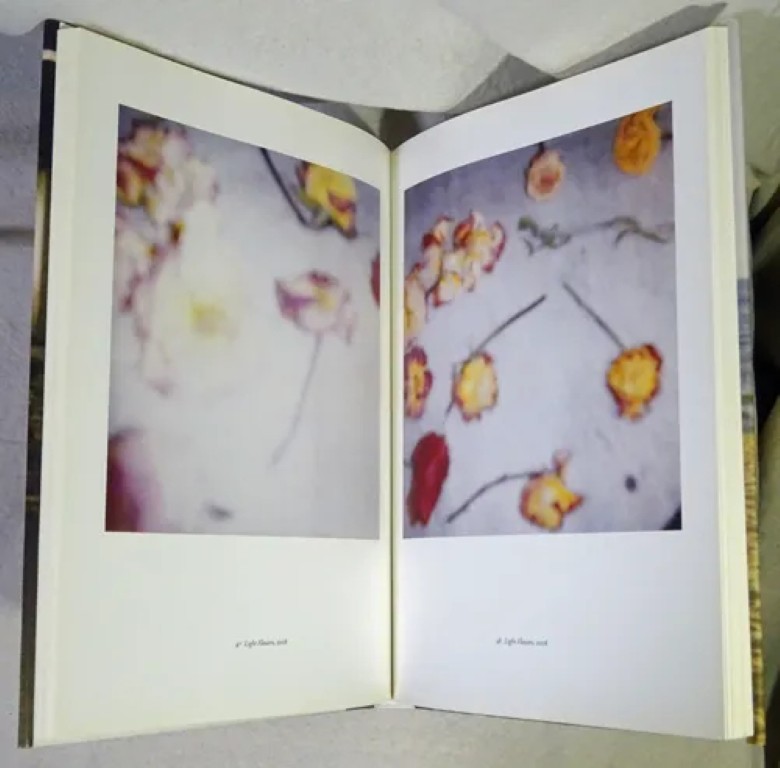 Cy Twombly : Unpublished photographs, 1951-2011 ; Vol. IV