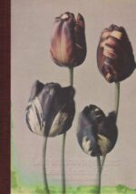 Leendert Blok : Les extravagantes