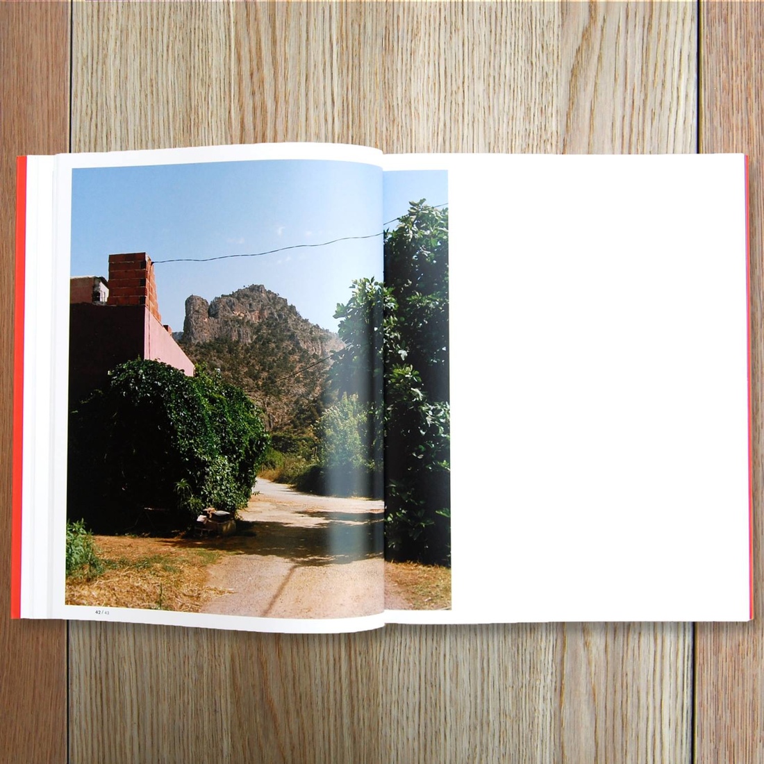 Florence Chevallier : Les fleurs, le chien et les pêcheurs