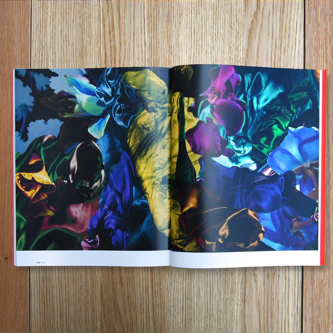 Florence Chevallier : Les fleurs, le chien et les pêcheurs