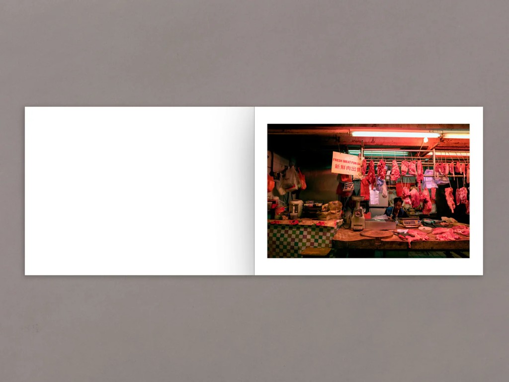 Daniel Lee Postaer : Mother's Land