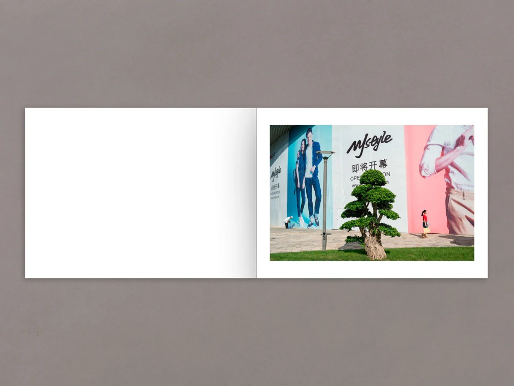 Daniel Lee Postaer : Mother's Land