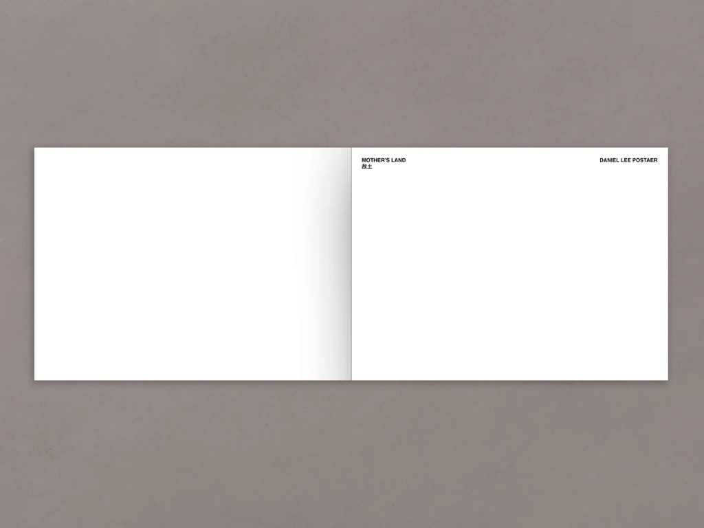 Daniel Lee Postaer : Mother's Land