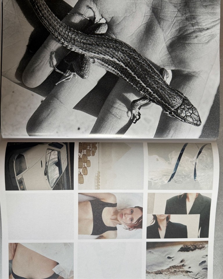 Martina Bjorn : Without