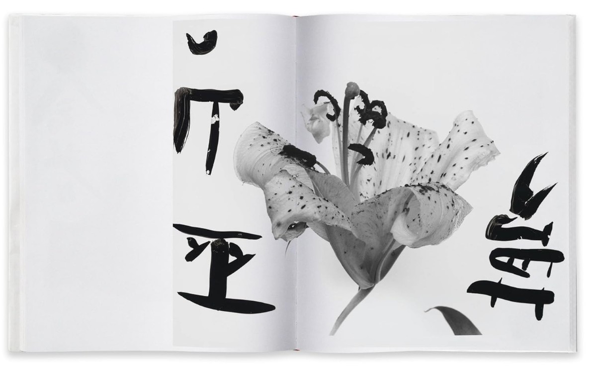 Nobuyoshi Araki : Marvelous Tales of Black Ink