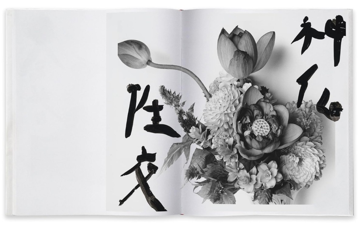 Nobuyoshi Araki : Marvelous Tales of Black Ink