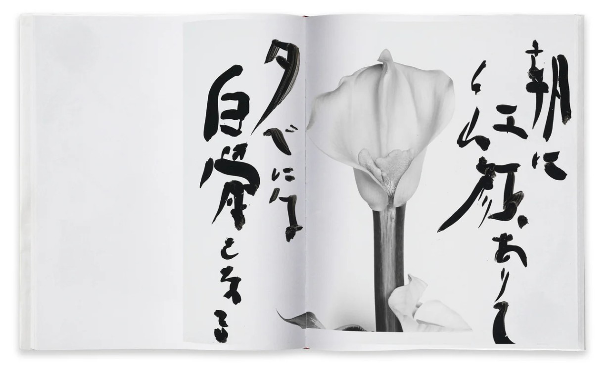 Nobuyoshi Araki : Marvelous Tales of Black Ink