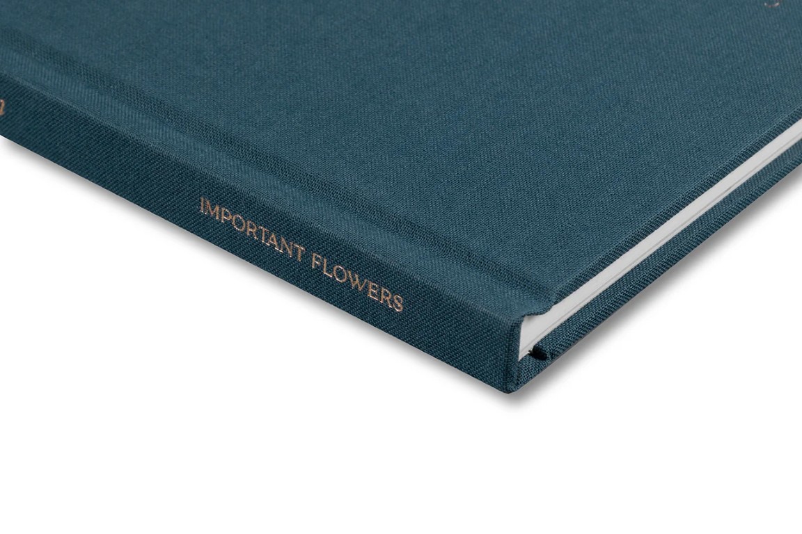 Miranda Barnes : Social Season