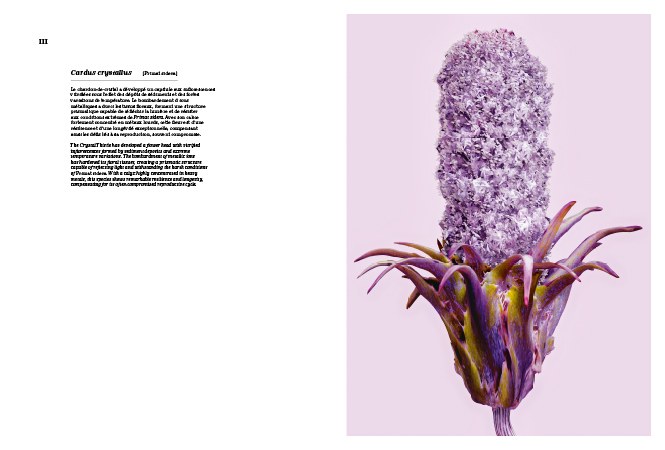 Vincent Fournier : Primat Sidera [Astrobotanical Herbarium] • La Nouvelle Chambre Claire