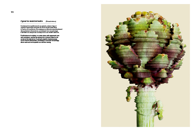 Vincent Fournier : Primat Sidera [Astrobotanical Herbarium] • La Nouvelle Chambre Claire