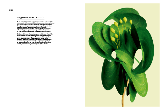 Vincent Fournier : Primat Sidera [Astrobotanical Herbarium] • La Nouvelle Chambre Claire
