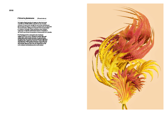 Vincent Fournier : Primat Sidera [Astrobotanical Herbarium] • La Nouvelle Chambre Claire