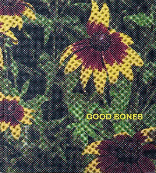 Nick Meyer : Good Bones