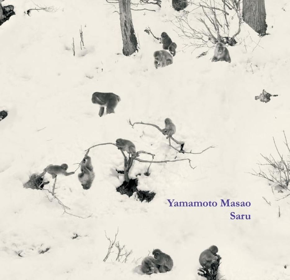 Masao Yamamoto : Saru